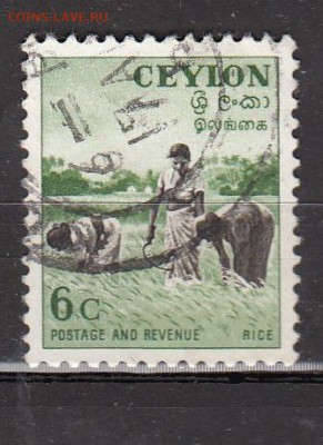 Цейлон 1951 1м 6ц - 289