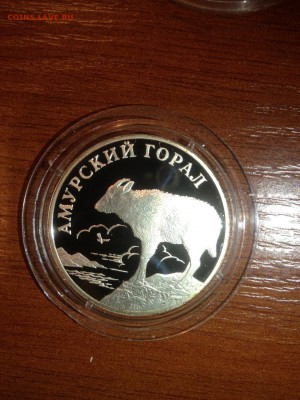 1 руб. Амурский горал 2002г. до 23.10 - Fl_XuKfWAvo