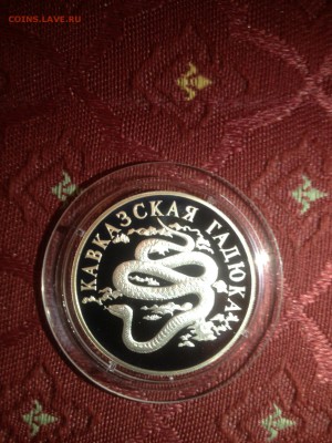 1 руб. Кавказская гадюка 1999г. до 23.10 - jonAp5INcGw