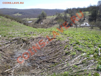 В Кузбассе начинается сезон. - IMGP0263.JPG