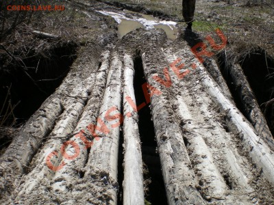 В Кузбассе начинается сезон. - IMGP0276.JPG