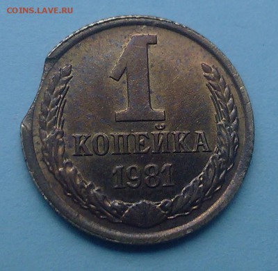 1 копейка 1981 года - выкус - 01-81 002