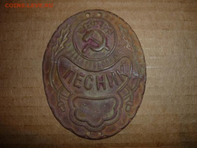 Нагрудный знак ЛЕСНИК РСФСР - blbWmBUcca4