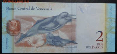 ВЕНЕСУЭЛА 2 боливар 2012г., ДО 26.10. - 2 боливара 2012г., В...JPG