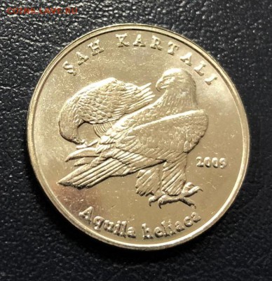 1 лира 2009 Турция - Орел до 28.10.2018 - IMG_3041-22-10-18-07-52