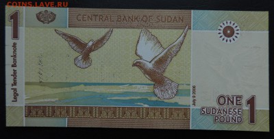 СУДАН 1 фунт 2006г., ДО 27.10. - 1 фунт 2006г., А..JPG
