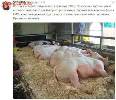 Респект Макдоналдс! А лучше вообще его открыть по всей РФ! - уг