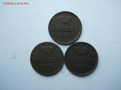 полушки1856 (2).1858ем. до 27.10.2018 в 22-00 по мск - DSCN0093-2240x1680.JPG