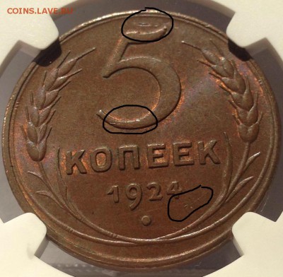 5 копеек 1924г. MS 66 BN - image