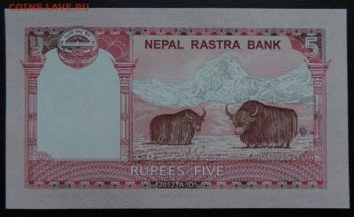 НЕПАЛ 5 рупий 2012г., ДО 28.10. - 5 рупий 2012г., В..JPG