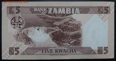 ЗАМБИЯ 5 квача 1980-88гг., ДО 28.10. - 5 квача 1980-88гг., В..JPG