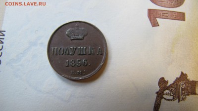 Полушка 1856 ЕМ. Оценка. - IMG_0415.JPG