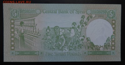 СИРИЯ 5 фунтов 1991г., ДО 29.10. - 5 фунтов 1991г., В..JPG