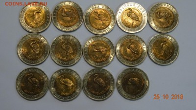 красная книга 1993г Дальновосточный Аист 14шт до 30.10 - DSC02805.JPG