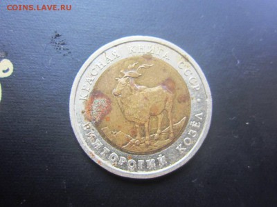 красная книга 5руб 1991г- Винторогий козел-до 31.10. в 22.20 - IMG_4736.JPG