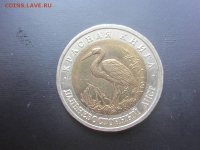 красная книга 1993г-Дальневосточный аист -до 31.10 в 22.20 - IMG_4728.JPG