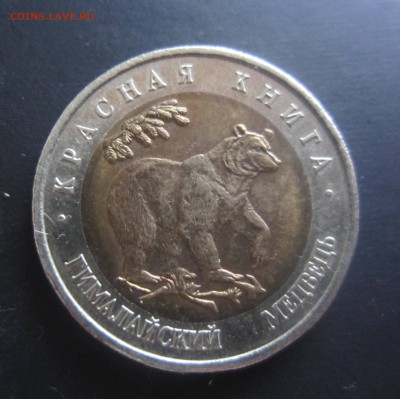 красная книга 1993г-Гималайский медведь -до 31.10 в 22.20 - IMG_4745.JPG