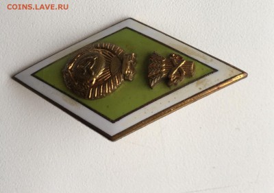 Знак Ромб Сельскохозяйственный ВУЗ Тяжелый металл Латунь - RTg2vItZVUE