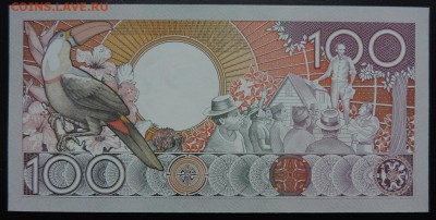 СУРИНАМ 100 гульденов 1986г., ДО 1.11. - 100 гульденов 1986г., В..JPG