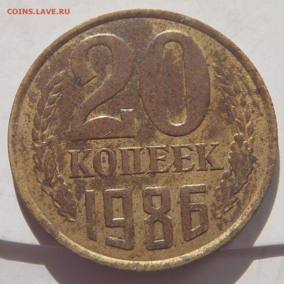 20 копеек 1986 в желтом металле - P1010481.JPG