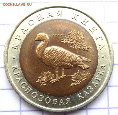 Красная книга 1991 и 1992 год 3 шт.до 31.10.2018 в 22.20 - PA280008.JPG