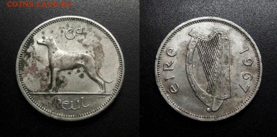 МОНЕТЫ МИРА 11-18 - Ирландия - 6 пенсов (1962) «Ирландский волкодав»