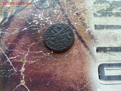 полушка 1707 до 31.10.2018 - 1707 - копия