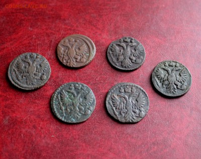 6 Полушек До 1.11.18 в 22.00 - IMG_5878.JPG