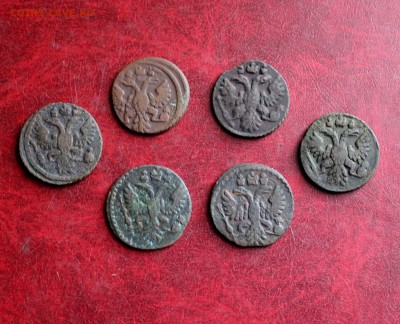 6 Полушек До 1.11.18 в 22.00 - IMG_5879.JPG