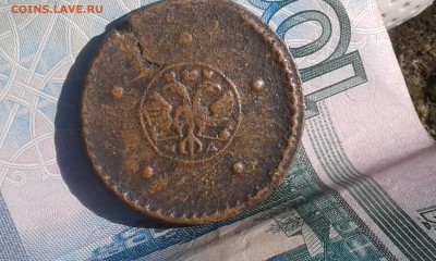 крестовик 1725 - 20181029_101524
