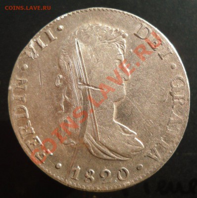 лопаткой коцнутая - 1820_1.JPG