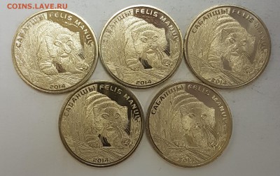 Казахстан 5 монет Манул с 200р до 31.10.2018 в 22.00 - ман