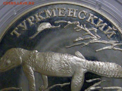 1 рубль 1996 туркменский зублефар серебро - P1070941.JPG
