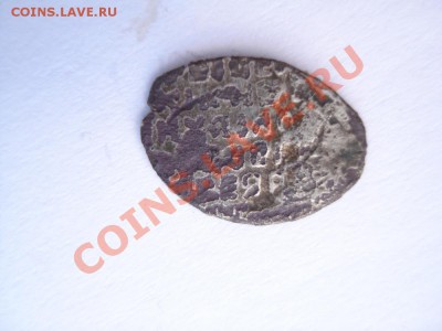 Чешуйка поддельная? - DSC04744.JPG