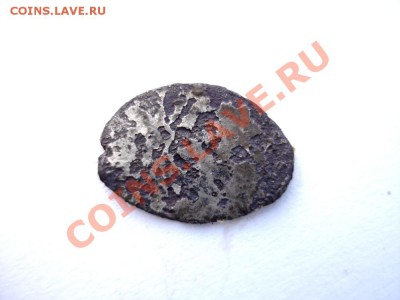Чешуйка поддельная? - DSC04746.JPG