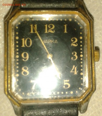 чайка - 20181030_180821