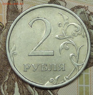 Вопросы по разновидностям от partly - DSCN9682.JPG