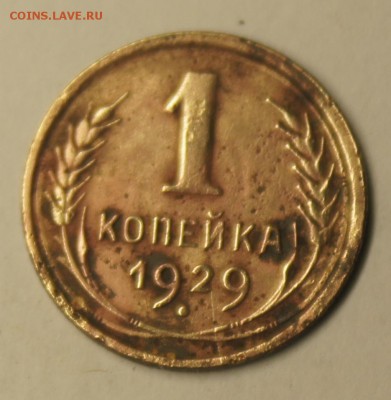 1 копейка 1929 года - DSC09770.JPG