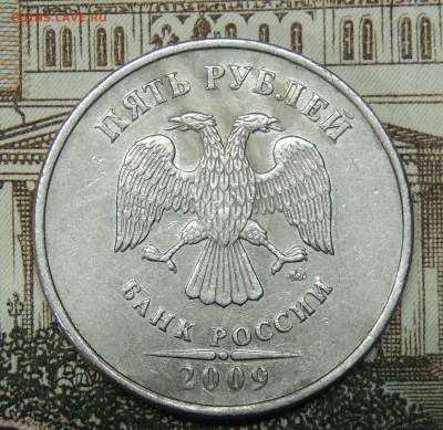 Вопросы по разновидностям от partly - DSCN9692.JPG