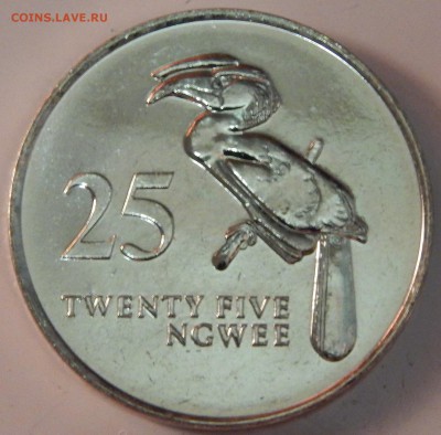 С 1 рубля UNC 25 нгве 1992 г., Замбия, до 22:00 6.11.18 г. - Замбия 25 нгве 1992-1.JPG
