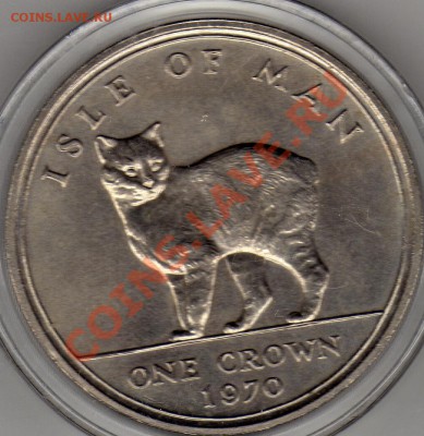 О.Мэн крона 1970 Кошка до 23.05.11 в 22.00мск - img963