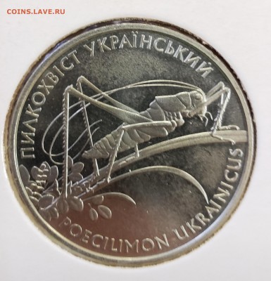 Украина 2006 2 грн Пилохвост украинский до 06.11 в 21.00 - 2006_Kuz1