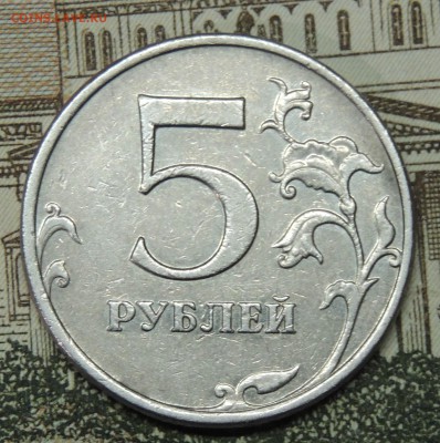 Вопросы по разновидностям от partly - DSCN9693.JPG
