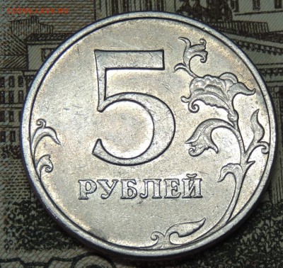 Вопросы по разновидностям от partly - DSCN9694.JPG
