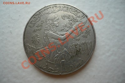 Тунис 1 динар до 23 мая 2011 - P1010250.JPG