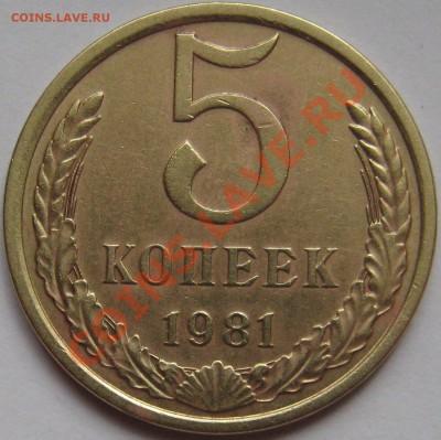5 копеек 1981 год. - IMG_1620.JPG