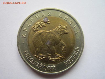 КК 1993 МЕДВЕДЬ 50 руб. до 05.11.18 в 22:30 - IMG_4278.JPG