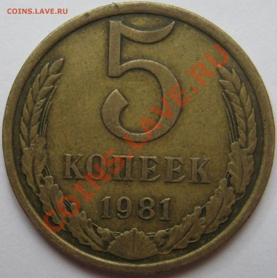 5 копеек 1981 год. - IMG_1637.JPG