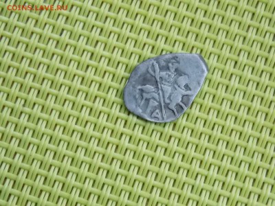 чешуйка на определение. - DSCN2656.JPG