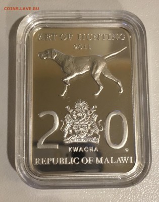 Малави 20 квача 2011 Охота на уток. До 10.11.18 в 22.00 МСК - 2AB8A87A-2D7B-406E-9C9B-ED54009D151D